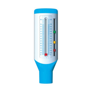 Bird Healthcare E-Chamber Peak Flow Meter